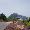 다육이 풍경