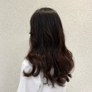 그레이스테크 이미지