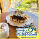 레인보우순카페 이미지
