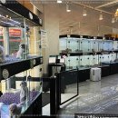 펫퍼스트 24시 강아지분양고양이분양 용인점 이미지