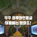 11305-13-359-5 | 무주 여행 가볼만한곳 구천동 계곡 근처 머루와인동굴.