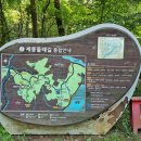 세종 원수산 등산 후기, 아이와 함께 다녀오기 좋은 가족 나들이 코스