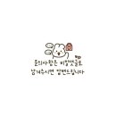 이센셜비전 이미지