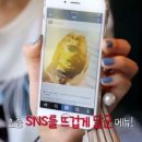 몽키푸드 이미지