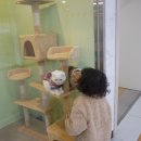 뽑뽀랜드 이미지