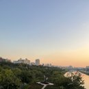 정심꼬마김밥