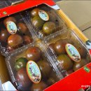경화농장 | [강진군 식품서포터즈]황금들농장 프리미엄 흑토마토 '까망토'