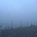 고흥 거금락 한옥펜션 이미지