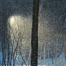 사사학교 이미지