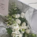 (주)제이제이브로스튜디오 | 웨딩촬영 제이로그 스튜디오 촬영 후기