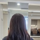 성모미용실 - 관악구 관악로28길 28 | 왕십리 미용실 복구 클리닉 정답은? 아윤채 클리닉 에이바헤어 왕십리역점 성모 디자이너