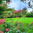 인정세탁 이미지