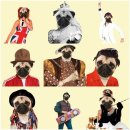 애견&만들기 이미지