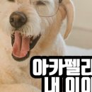 홍대 어필연습실 2호점