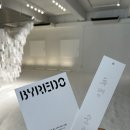 바이레도 성수 팝업 페이지 블랑쉬 사전예약 선물 꿀팁 시향 후기