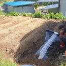 별빛담은마을 이미지