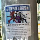 월급 3,000만원 연차 100일 계약직 급구.jpg 이미지