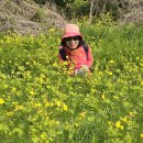 경기둘레길 평택44코스 이미지