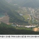 대향민박 네이버블로그