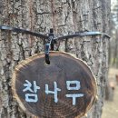 피노키오 유아숲체험원 이미지
