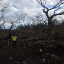 동광리-12 이미지