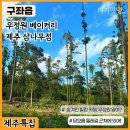 여기엇댕 이미지