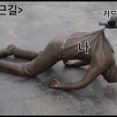 신카 이미지