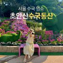 울동네축제 <범서선바위축제> | 초안산 수국동산 축제 전 개화 상황 인생샷 포토존 등 꿀팁 총정리