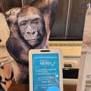 디자인상상 | 일산 남자 가르마펌 잘하는 곳 찾음! 헤어디자인 상상 2호점 방문 후기