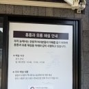 1895 | 경기도 아이와 갈만한 곳 / 벚꽃 명소 남양주 홍릉과 유릉