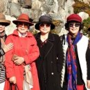 미륵농장 이미지