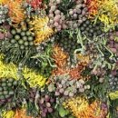 12/6 크리스마스 생화 트리 이미지