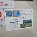진동활어횟집