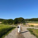 성주통도사휴게소 | 양산여행 경남여행 1박2일 통도사 청보리밭 실시간...고탑덮밥 홍룡사 홍룡폭포 청도휴게소 청도할매김밥