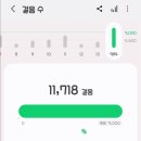 몰리하우스 네이버블로그