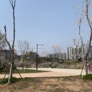 킹스타피자전주에코시티점 | [킹스타피자] 전주에코시티맛집 피자집 추천 세병호피크닉