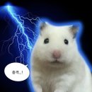 라온커피 이미지