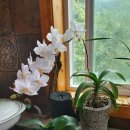 꽃골농장 이미지