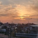 항몽로김가네