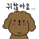 한지청사진 이미지