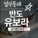 수선화메디칼
