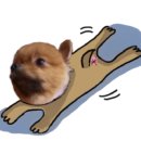 개떼놀이터 인천점 이미지