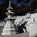 (주)파랑나무 이미지