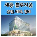 세종블루지움 이미지