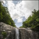 지리산품