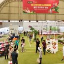 장수공설운동장 이미지