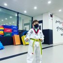 코리아태권도장 이미지