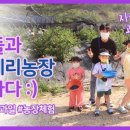 삼촌이모과일
