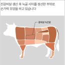 미트컴퍼니