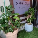 스타일헤어샾 - 정읍시 | 스타일헤어샾